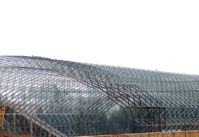 東駿水泥有限公司粉砂巖預均化堆場、原煤預均化堆場螺栓球節點拱形頂大型網架